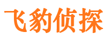 宽城侦探公司